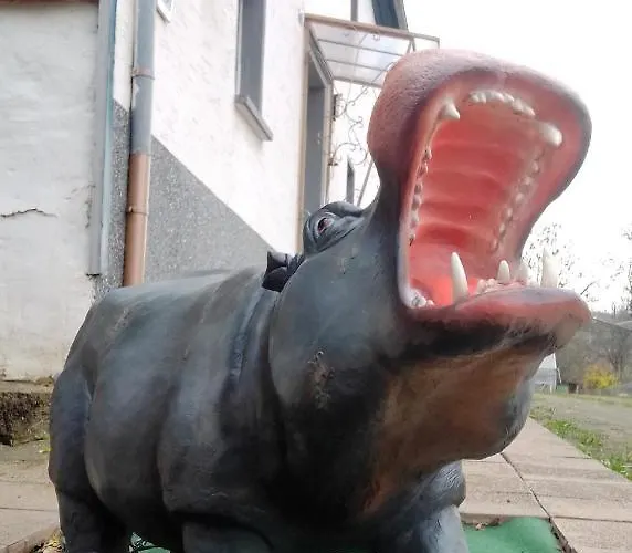 Lägenhet Happy Hippo Haus Mürlenbach